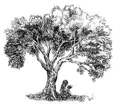 The Highly Esteemed Sidr (Beri) Tree
