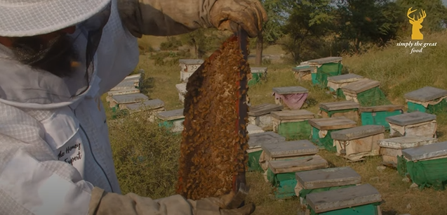 Load video: Where does Sidr (Beri) Honey come from?